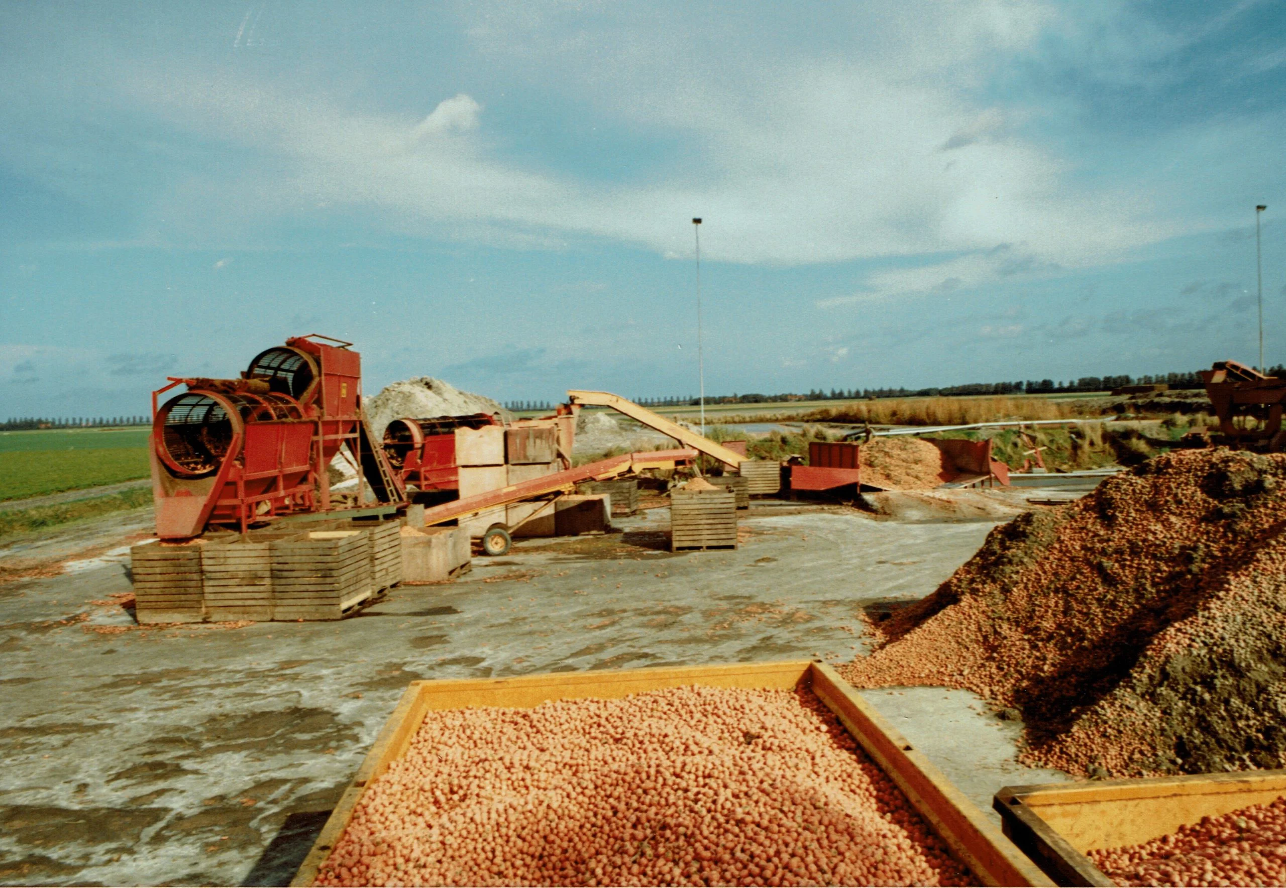 Eerste Parijse wortelen – 1988